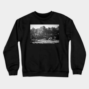 Carriers from Myanmar. On the road from Kalaw to Inle Crewneck Sweatshirt